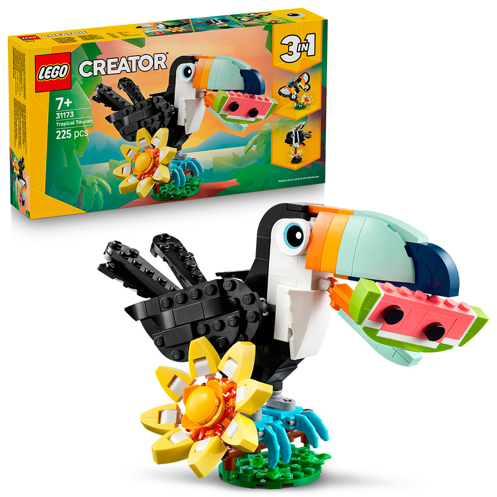   31173  :  