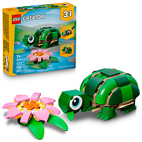 �������� � ������ ������ �볿